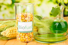Clotton biofuel availability